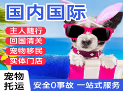 丽江机场托运国际宠物托运 【国